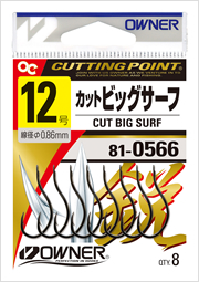 カットビッグサーフ