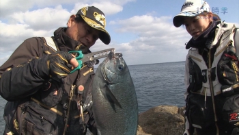 五島列島椛島の磯で良型グレ乱舞!!