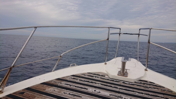 初代浅草（キハダに利用） 小林 秀輝 on X: 